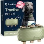 Dog Tracker: 7 Ultimate Secrets for Amazing Results in 2026
