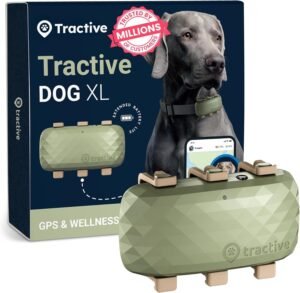 Dog Tracker: 7 Ultimate Secrets for Amazing Results in 2026