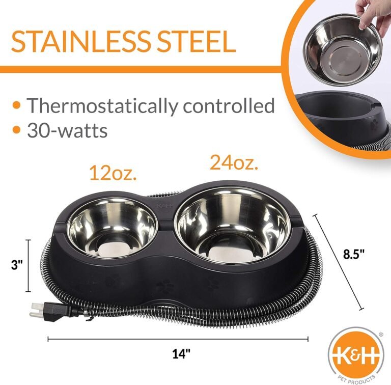 Heated Bowl: 5 Ultimate Steps For Best Outdoor Cat Care 2026 1 81VCFKChGJL. AC SL1500 Pet Cortex