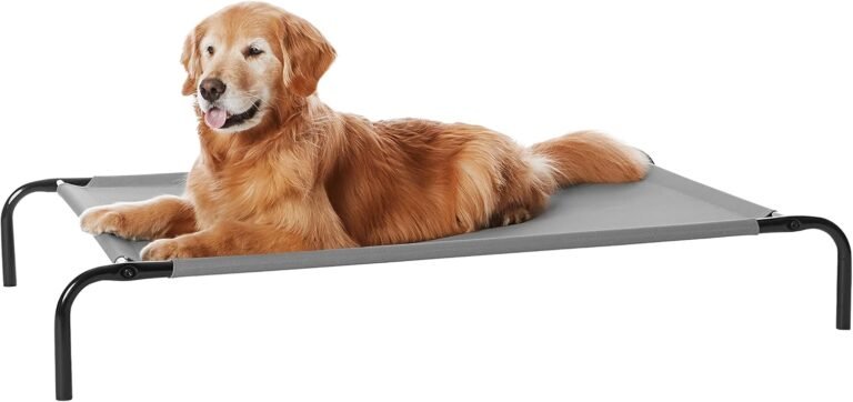 Elevated Dog: 10 Ultimate Checklist For Amazing Comfort In 2026 4 71gw2oWnStS. AC SL1500 Pet Cortex